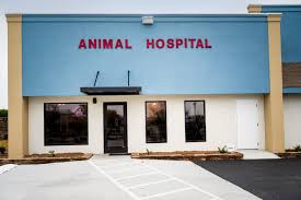 Utkarsh Animal Hospital